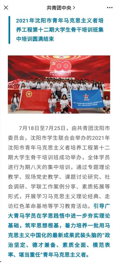 沈阳精彩爆料新闻报道最新,重大事件背后惊人真相曝光！