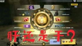 cf手游5月王者轮回最新爆料,全新爆料揭秘，巅峰对决即将开启！