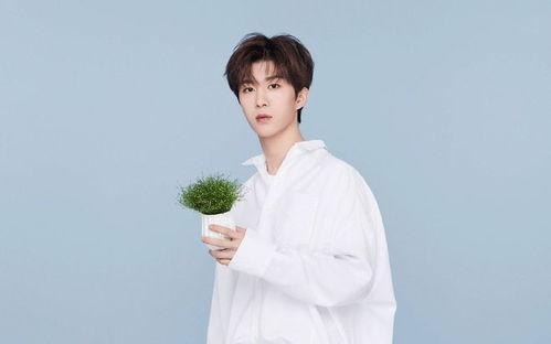 贾玲范丞丞最新爆料视频,娱乐圈幕后真相大曝光！