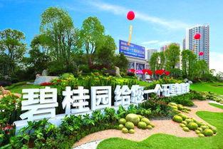 碧桂园爆料最新消息洪雅,揭秘项目进展与未来规划