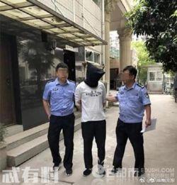 武汉黑中介爆料案件最新,揭露行业潜规则，揭开灰色产业链面纱