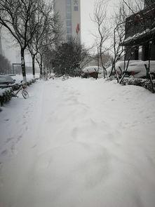 西安爆料大雪视频最新消息,城市交通受阻，市民生活受影响