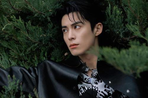 王鹤棣爆料最新,揭秘娱乐圈背后的惊人真相！