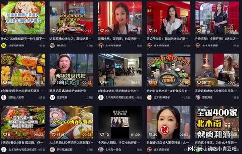 餐厅爆料视频大全最新版