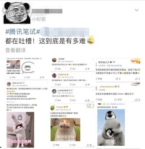 小蛙最新爆料,揭秘娱乐圈最新动态