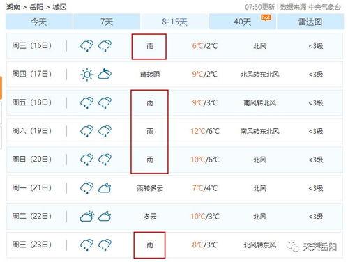 岳阳最新爆料消息公布,揭秘神秘事件背后的真相